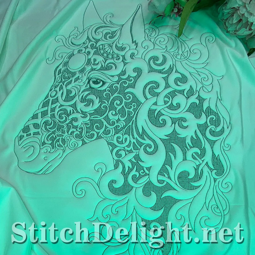 SDS1780 Equestrian Beauty Portrait
