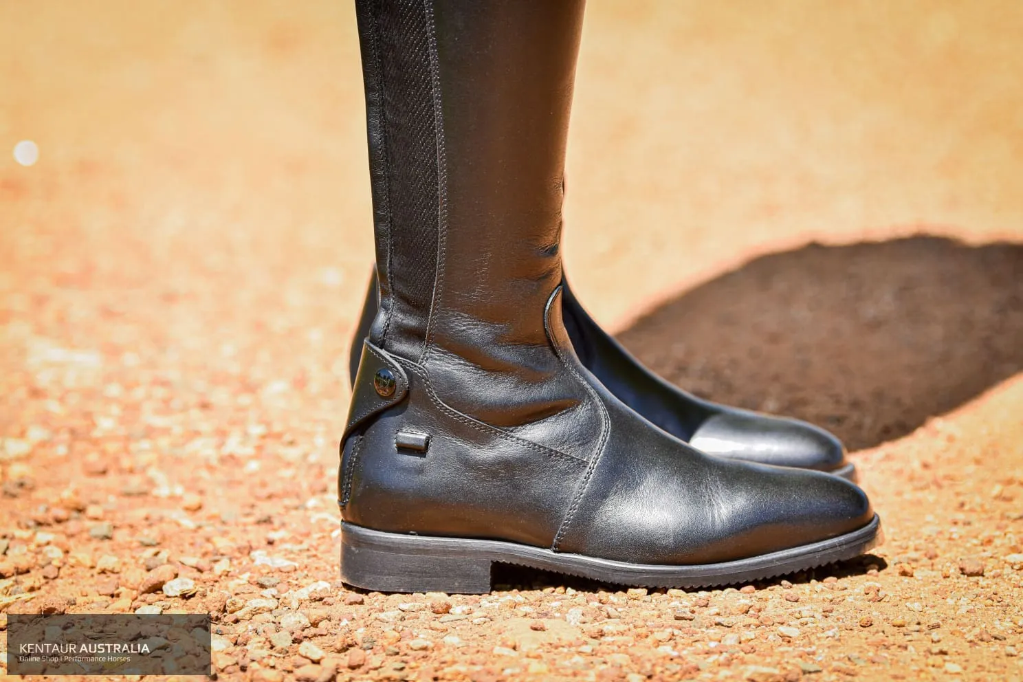 Tucci 'Sofia' Long Boot