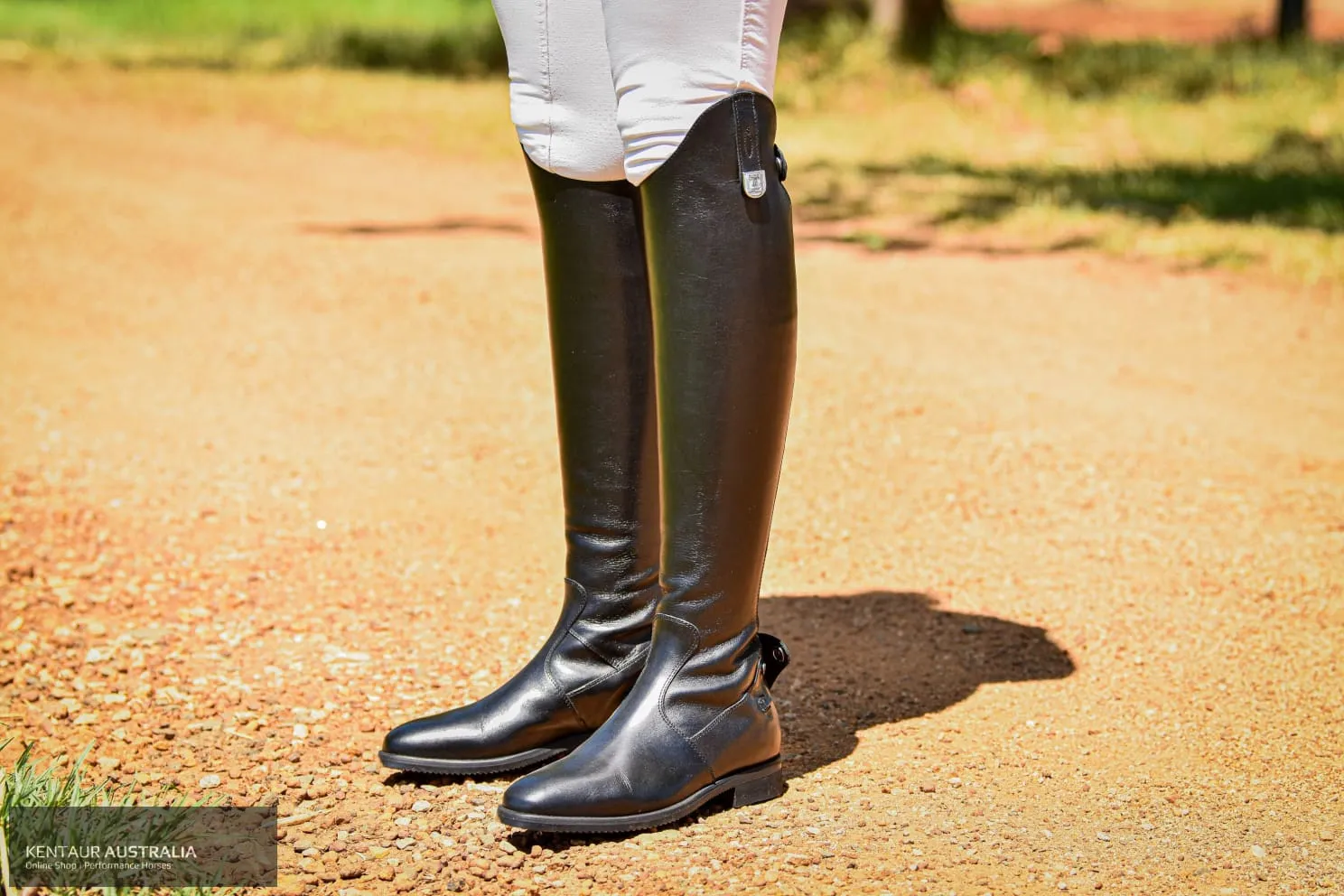 Tucci 'Sofia' Long Boot